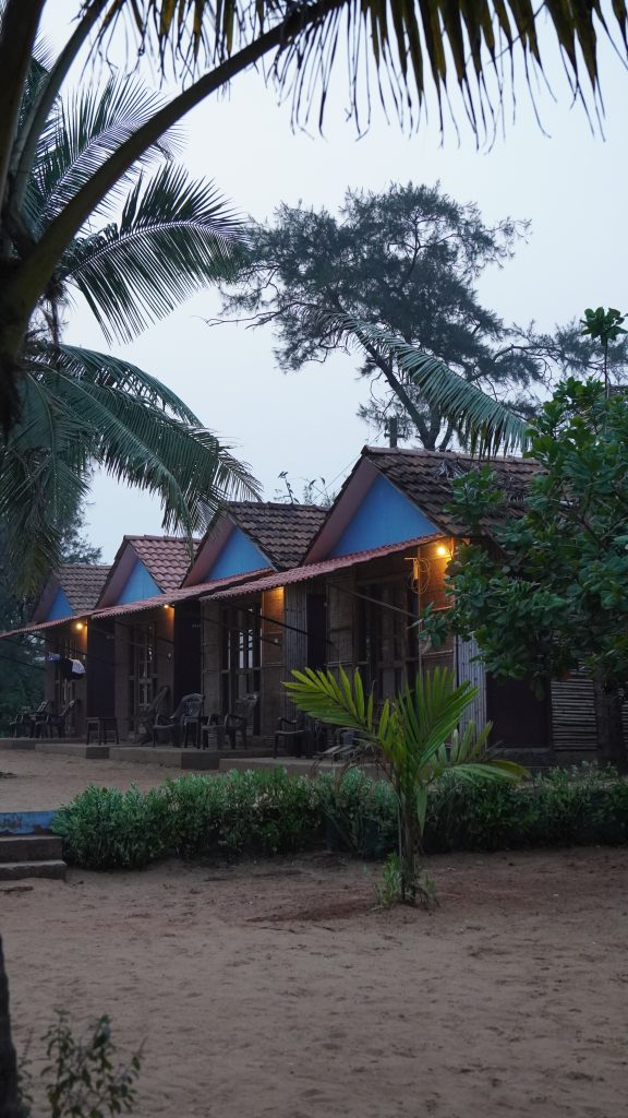 Cottages on Calangute Beach at O Camarao Goa, Calangute
